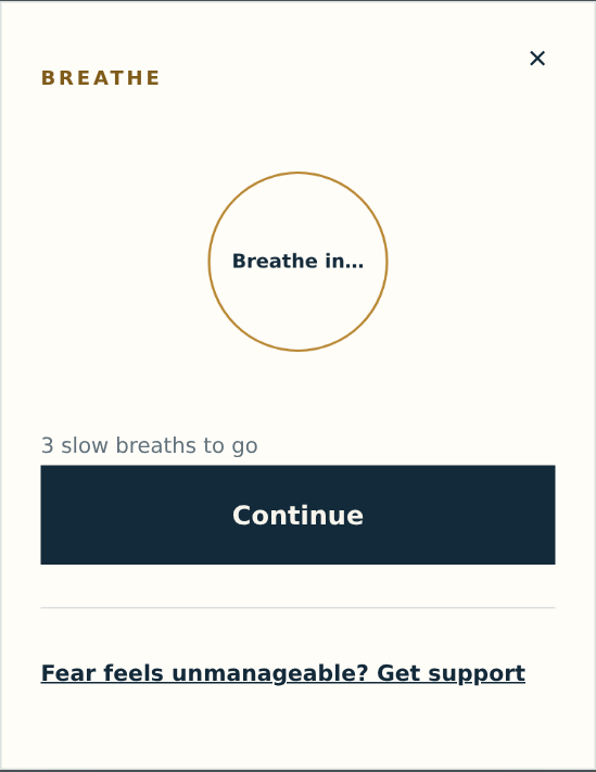 The Steady me now screen: a gold breathing circle reading "Breathe in…", the text "3 slow breaths to go", a Continue button, and a link reading "Fear feels unmanageable? Get support".